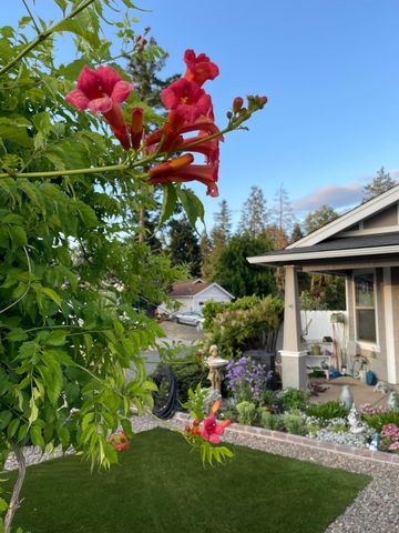 404 Lindilu Lane, Cave Junction, OR 97523