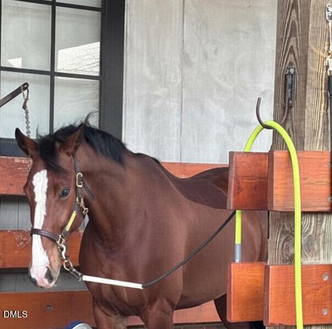 228 Sicily Drive, Clayton, NC 27527