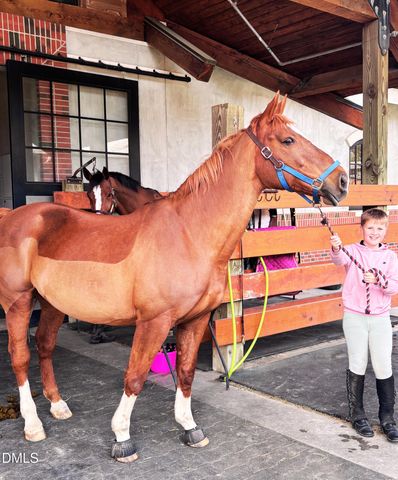 228 Sicily Drive, Clayton, NC 27527