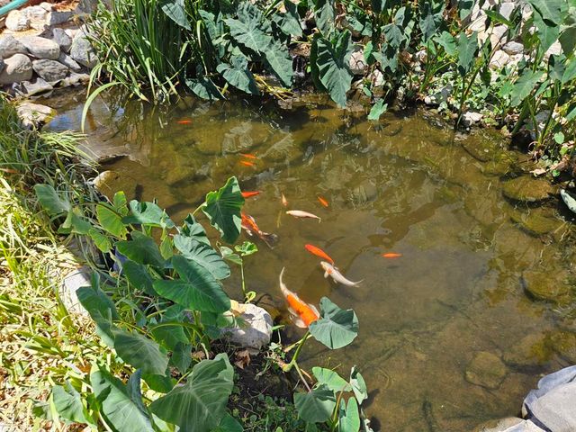 65650 10th Street, Desert Hot Springs, CA 92240