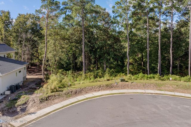 109 Holly Berry Court, Wilmington, NC 28401