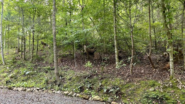 28 Walden Cove Way, Sevierville, TN 37862