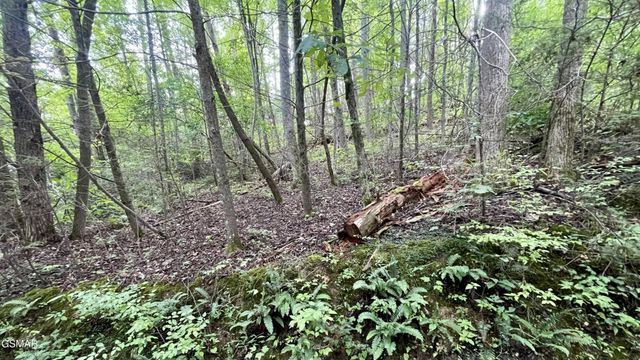 28 Walden Cove Way, Sevierville, TN 37862