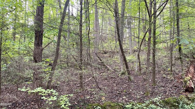 28 Walden Cove Way, Sevierville, TN 37862