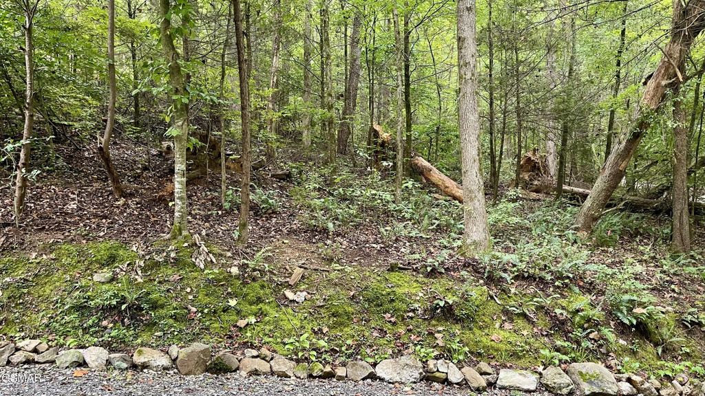 28 Walden Cove Way, Sevierville, TN 37862
