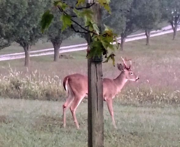 610 Highway B, Mansfield, MO 65704