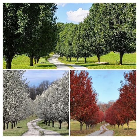 610 Highway B, Mansfield, MO 65704