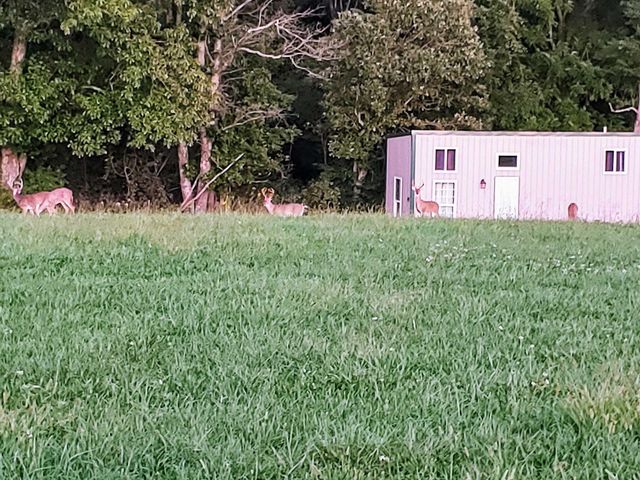 610 Highway B, Mansfield, MO 65704