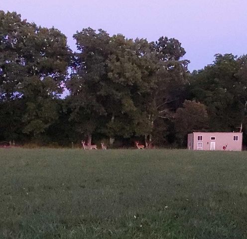 610 Highway B, Mansfield, MO 65704