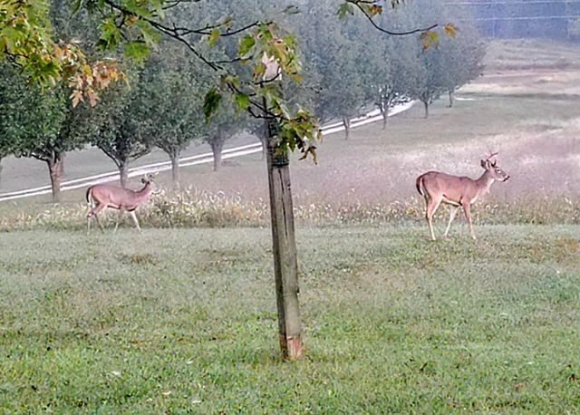 610 Highway B, Mansfield, MO 65704