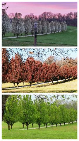 610 Highway B, Mansfield, MO 65704