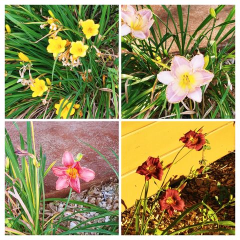 610 Highway B, Mansfield, MO 65704