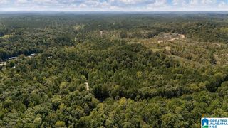 0 COUNTY ROAD 759, Clanton, AL 35046
