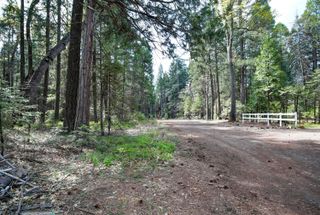 Linda Road, Shingletown, CA 96088