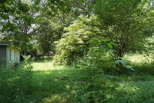 532 Pickett Road, Signal Mountain, TN 37377