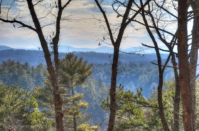 142 Red Oak Trail, Ellijay, GA 30540