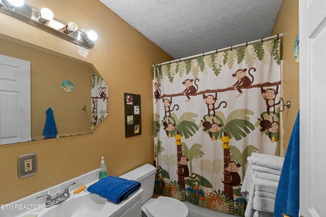 184 Alpha Rd, Newport, TN 37821