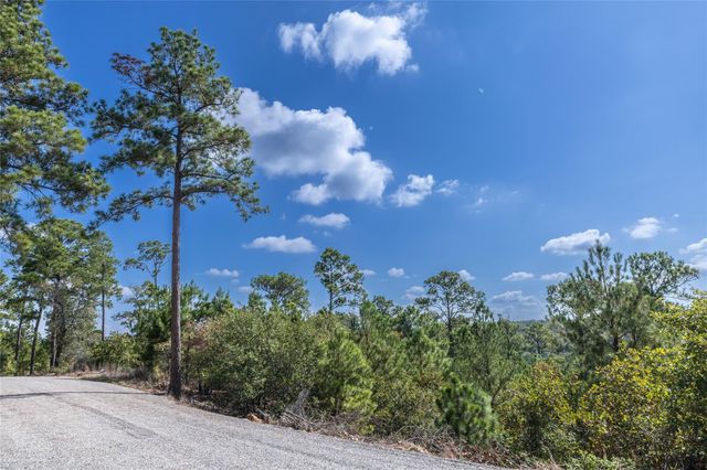 Lot 707 E Waimea CT, Bastrop, TX 78602