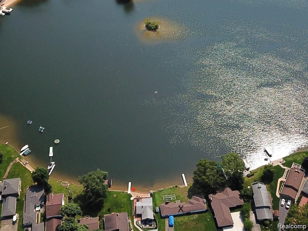 8461 Woodland Shore Drive, Brighton, MI 48114