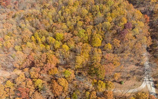 Lot 17R Tanager Trail, Ellijay, GA 30536