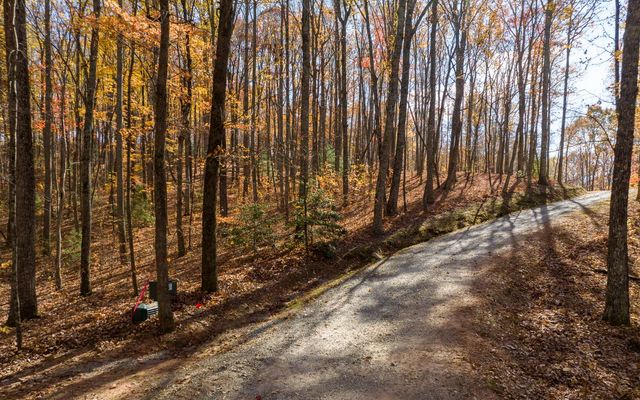 Lot 17R Tanager Trail, Ellijay, GA 30536