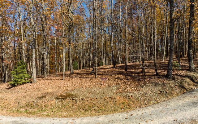 Lot 17R Tanager Trail, Ellijay, GA 30536