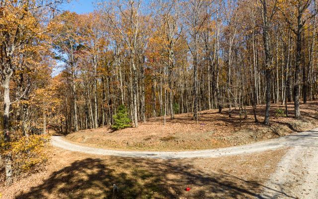 Lot 17R Tanager Trail, Ellijay, GA 30536