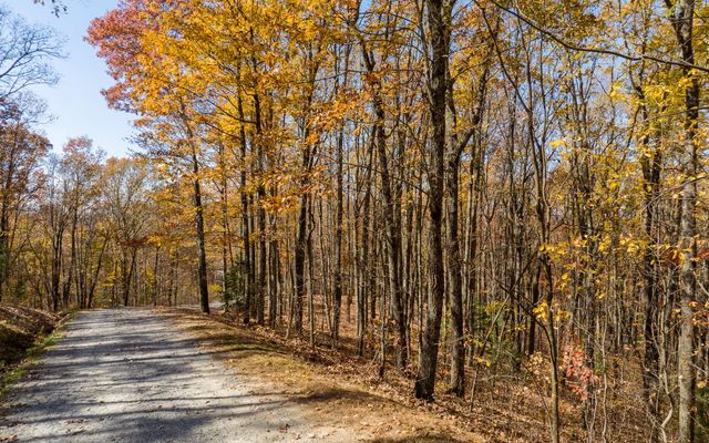 Lot 17R Tanager Trail, Ellijay, GA 30536