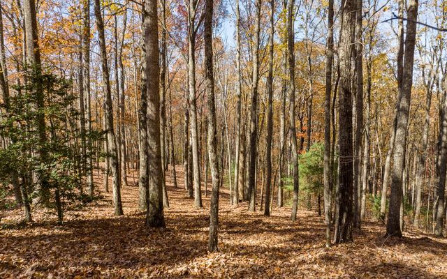 Lot 17R Tanager Trail, Ellijay, GA 30536