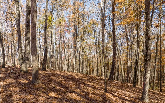 Lot 17R Tanager Trail, Ellijay, GA 30536