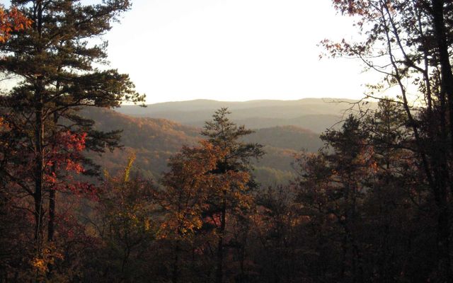 Lot 17R Tanager Trail, Ellijay, GA 30536