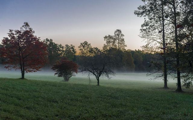 Lot 17R Tanager Trail, Ellijay, GA 30536