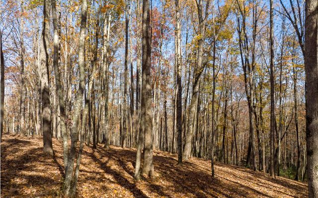 Lot 17R Tanager Trail, Ellijay, GA 30536