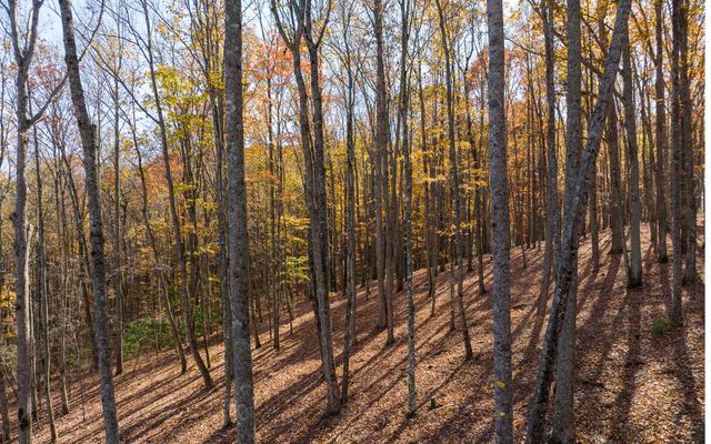Lot 17R Tanager Trail, Ellijay, GA 30536
