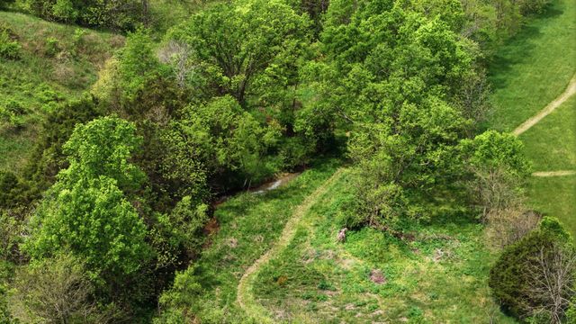 650 Gillispie Road, Carlisle, KY 40311