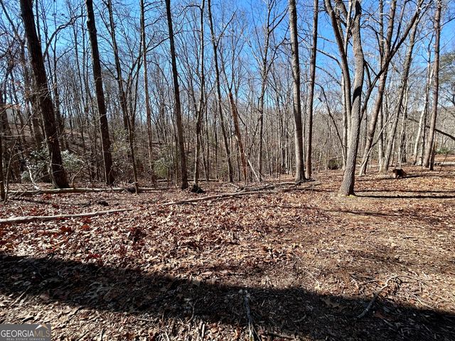 7 Ivy Hills Drive, Cleveland, GA 30528