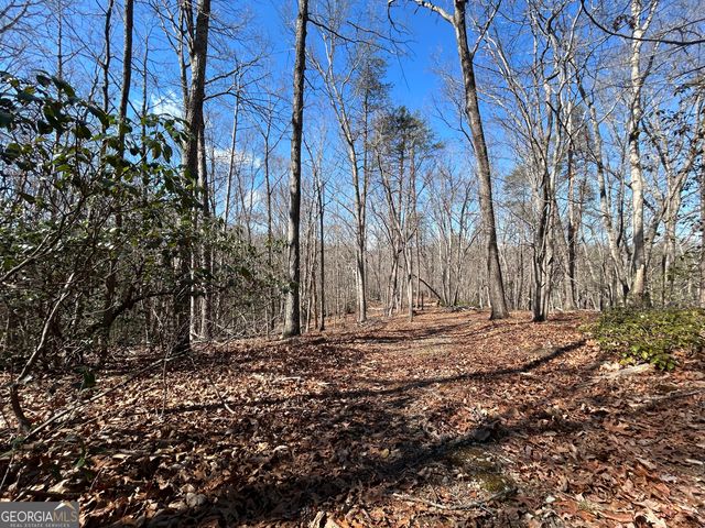 7 Ivy Hills Drive, Cleveland, GA 30528