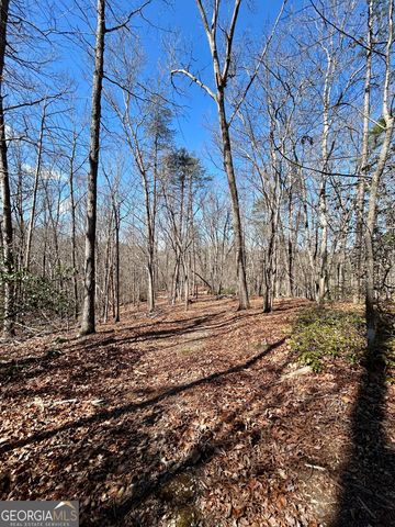 7 Ivy Hills Drive, Cleveland, GA 30528