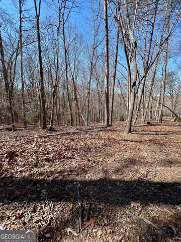 7 Ivy Hills Drive, Cleveland, GA 30528