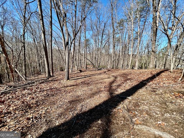 7 Ivy Hills Drive, Cleveland, GA 30528