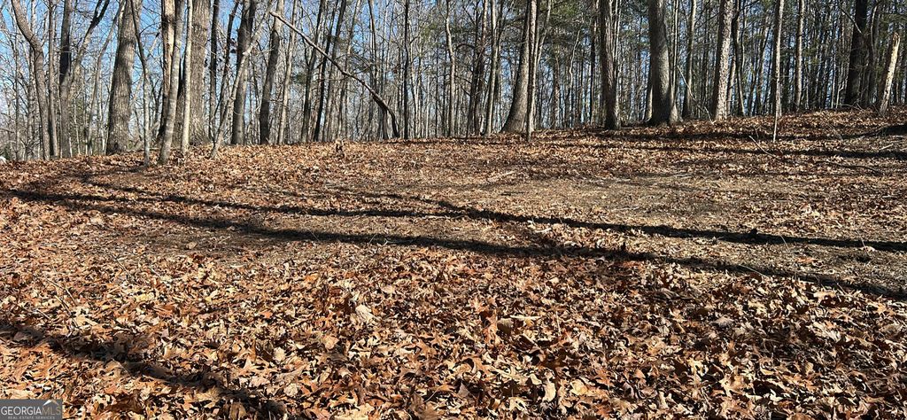 7 Ivy Hills Drive, Cleveland, GA 30528