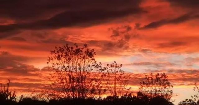 14 Palm Drive, Bloomingburg, NY 12721