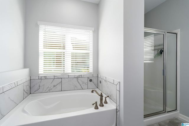 1570 BAXTER AVENUE, Springville, AL 35146