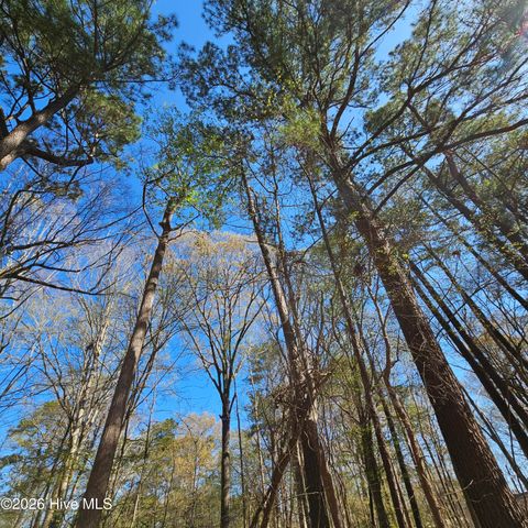 Lot 77 Pirate Cove Way, Hertford, NC 27944