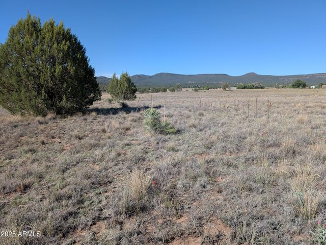 279 E Hubbard Lane -, Young, AZ 85554