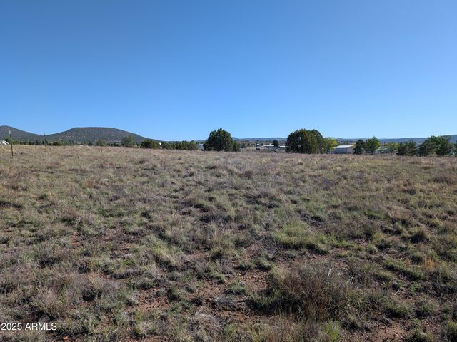 279 E Hubbard Lane -, Young, AZ 85554