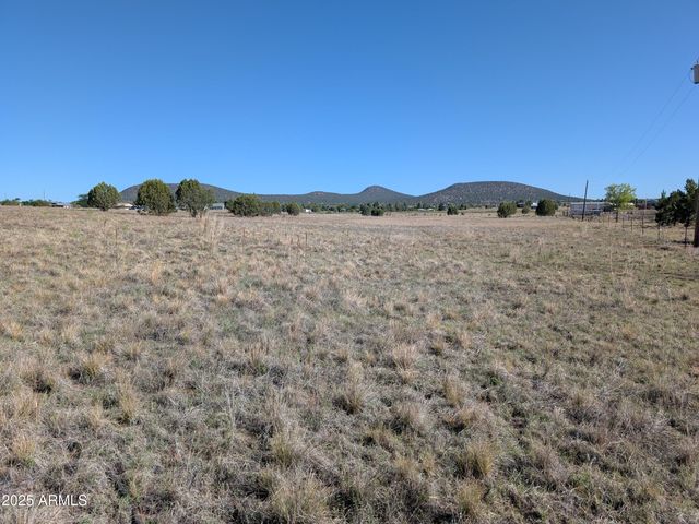 279 E Hubbard Lane -, Young, AZ 85554