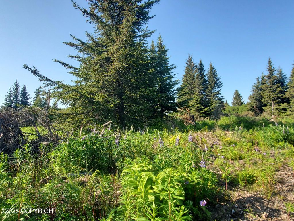 17589 Chefornak Street, Ninilchik, AK 99639