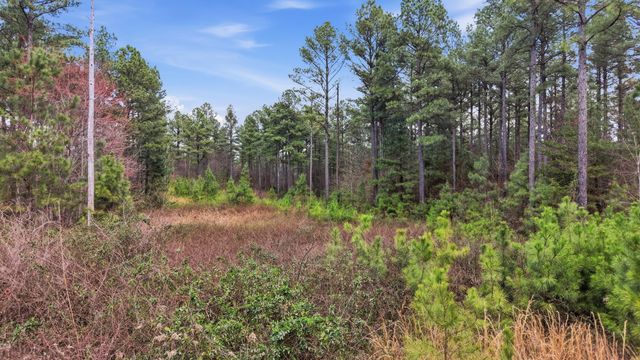 Lot 1040 Expedition Drive, Guild, TN 37340