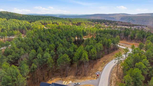 Lot 1040 Expedition Drive, Guild, TN 37340